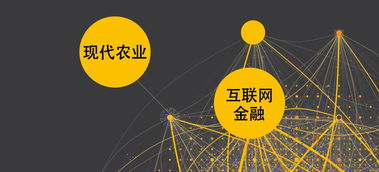 淺析互聯網環境下的農業金融發展模式與互聯網數據服務